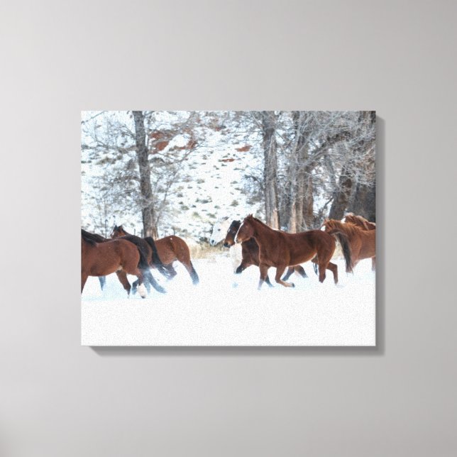 Herd of Horses Running in Snow Canvas Print (Front)
