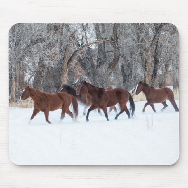 Herd of Horses Running in Winters Snow Mouse Mat (Front)