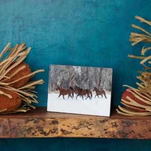 Herd of Horses Running in Winters Snow Plaque