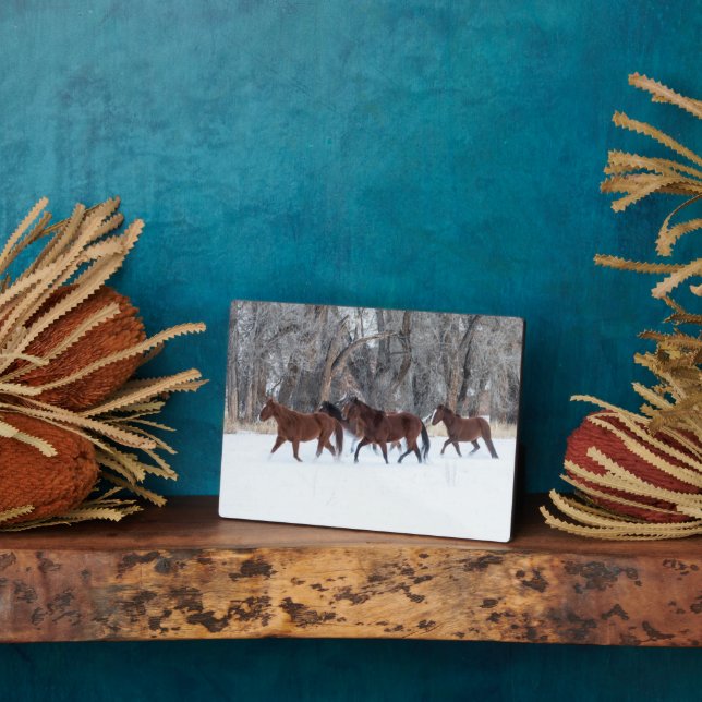 Herd of Horses Running in Winters Snow Plaque (Side)