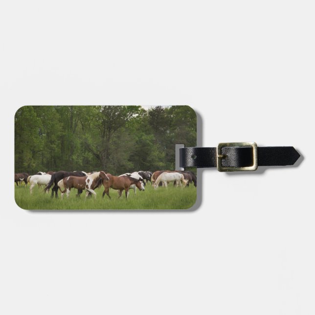 Herd of horses, Tennessee Luggage Tag (Front Horizontal)