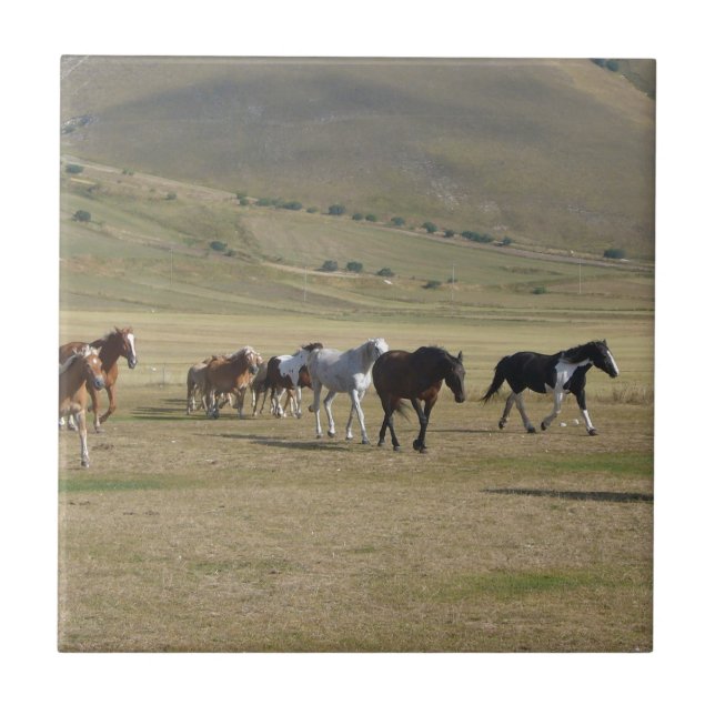 Herd of Horses Tile (Front)
