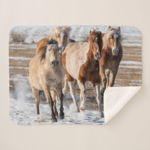 Herd of Mixed Breed Horses Running in the Snow Sherpa Blanket
