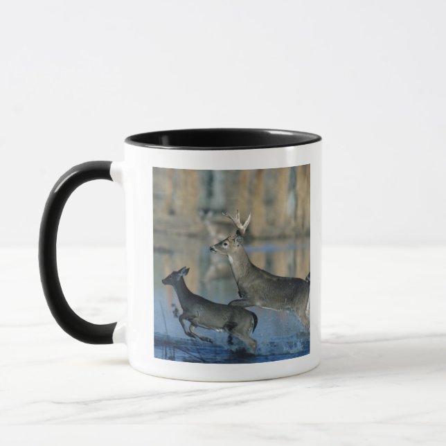 Herd of whitetail deer running through water mug (Left)