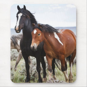 Herd of Wild Horses Mouse Mat