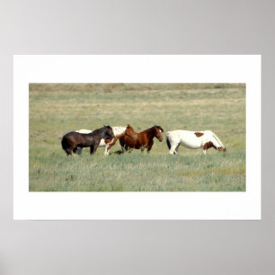 Herd of wild horses poster