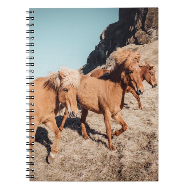Herd of wild Ponies Notebook (Front)