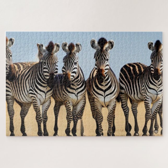 Herd of Zebra Jigsaw Puzzle (Horizontal)