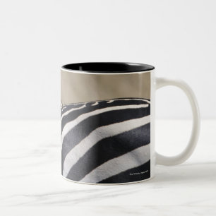 Herd of Zebras grazing, Masai Mara Game Reserve, Two-Tone Coffee Mug