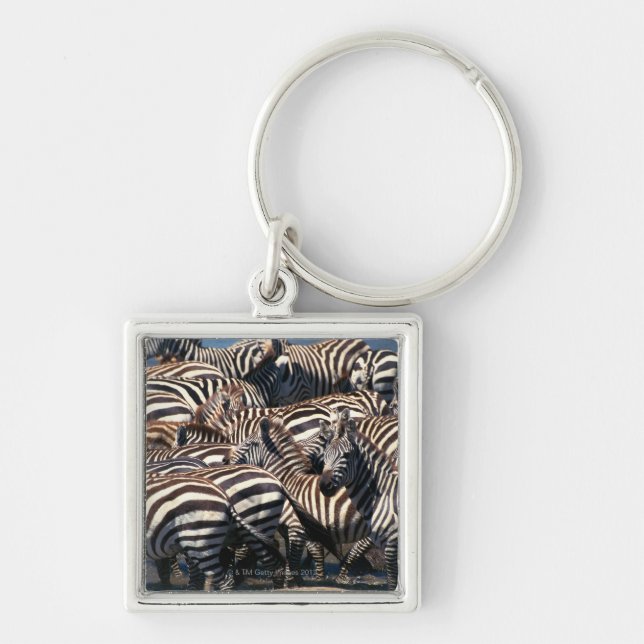 Herd of zebras key ring (Front)