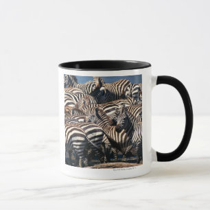 Herd of zebras mug