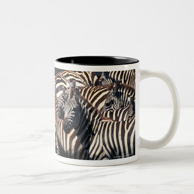 Herd of zebras Two-Tone coffee mug (Right)