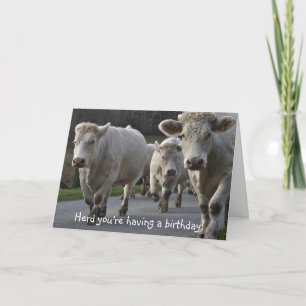 Herd you're having a birthday! card