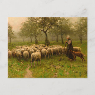 Herderin Met Kudde Schapen by Anton Mauve (c 1870) Postcard