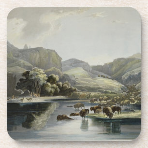 Herds of Bison and Elk on the Upper Missouri, plat Coaster