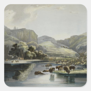 Herds of Bison and Elk on the Upper Missouri, plat Square Sticker