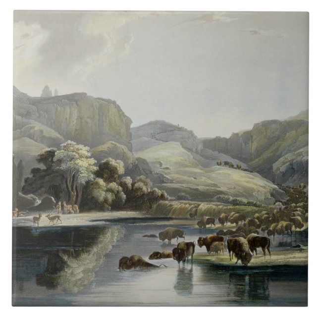 Herds of Bison and Elk on the Upper Missouri, plat Tile (Front)