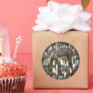 Herds of Zebras Classic Round Sticker