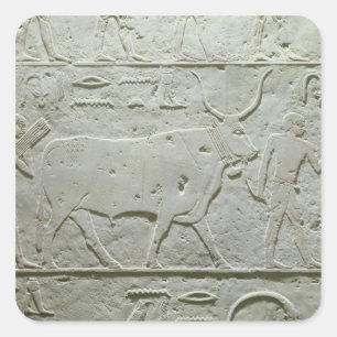 Herdsman leading a bull square sticker