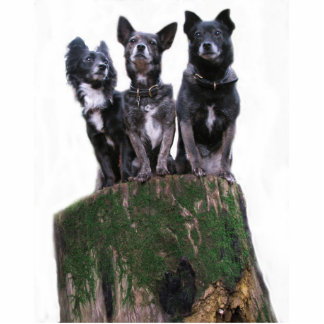 Here are the dogs on a log. standing photo sculpture
