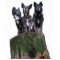 Here are the dogs on a log.