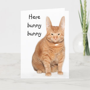 Here bunny bunny holiday card