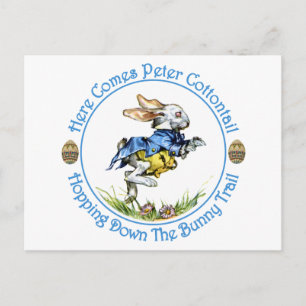 Here Comes Peter Cottontail Postcard
