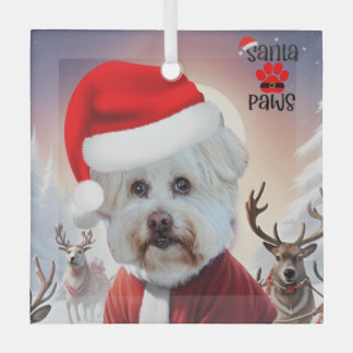 Here comes Santa Dog Ornament