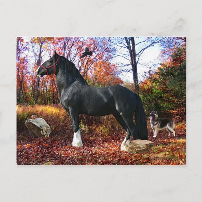 "Here Comes the Sun" Postcard (Front)