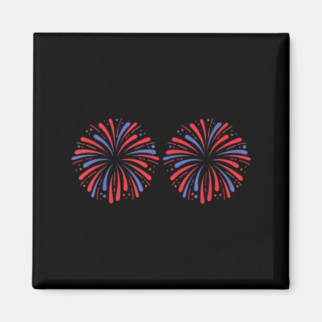 Here For The Fireworks 4th Of July Usa Funny Magnet (Front)