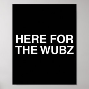 Here For The Wubz Funny Techno House Music Dubstep Poster