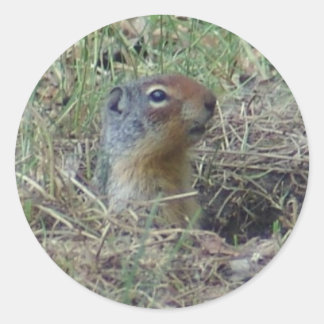 Here I am Classic Round Sticker