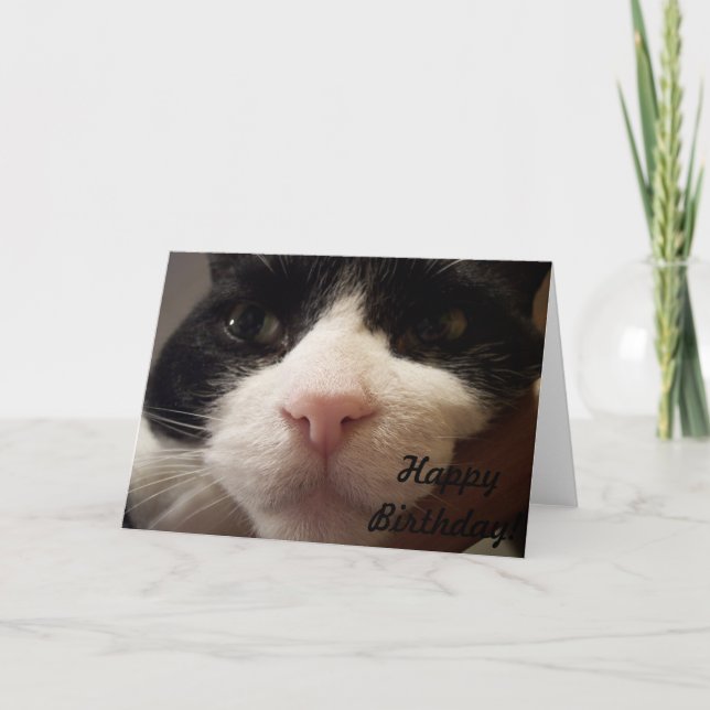 Here I am: Happy Birthday (Card with Cat) Card (Front)