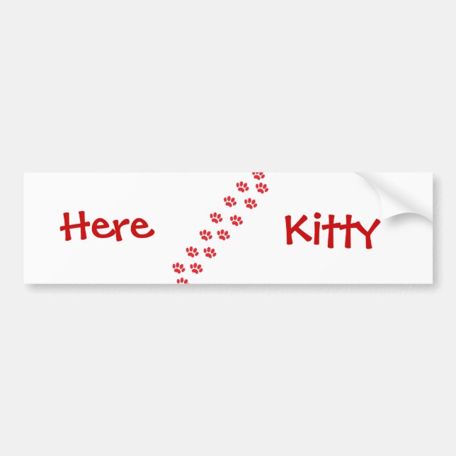 Here Kitty Cat Paws Bumper Sticker (Front)