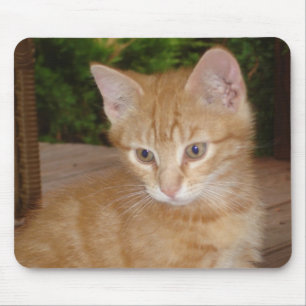 Here, Mousey, Mousey! Mouse Mat