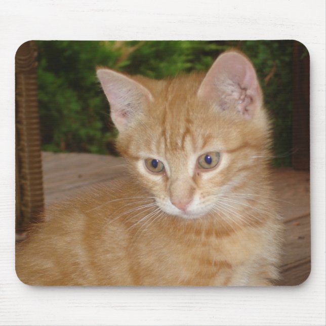 Here, Mousey, Mousey! Mouse Mat (Front)