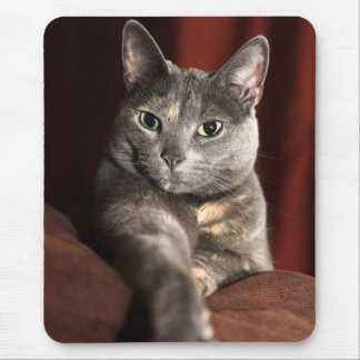 Here mousey mousey mouse mat