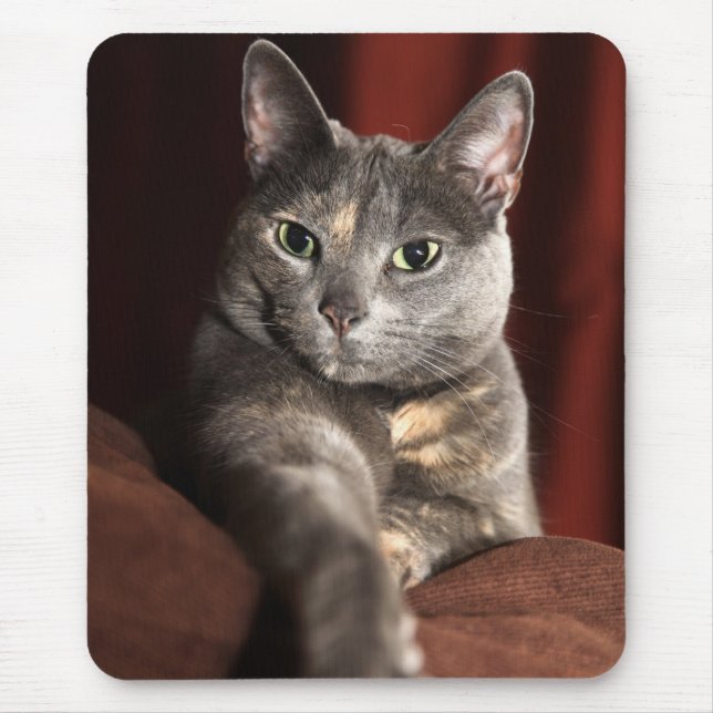 Here mousey mousey mouse mat (Front)