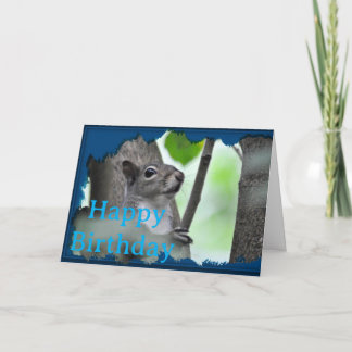 Here’s Looking At You - A Squirrel In Blue_0213 Card