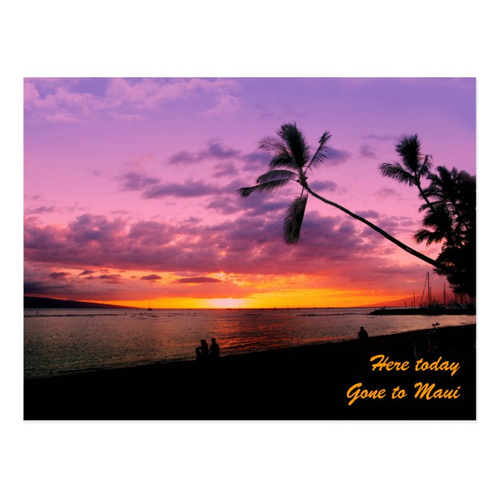 Here today, gone to Maui Postcard | Zazzle.co.uk
