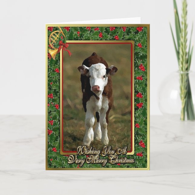 Hereford Calf Cow Blank Christmas Card (Front)