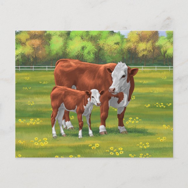 Hereford Cow & Cute Calf in Summer Pasture (Front)