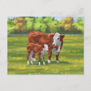 Hereford Cow & Cute Calf in Summer Pasture Postcard