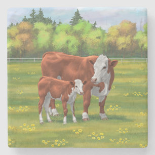Hereford Cow & Cute Calf in Summer Pasture Stone Coaster