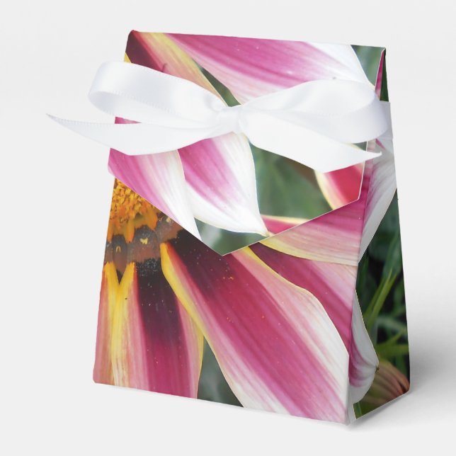Hereford Favour Box (Front Side)