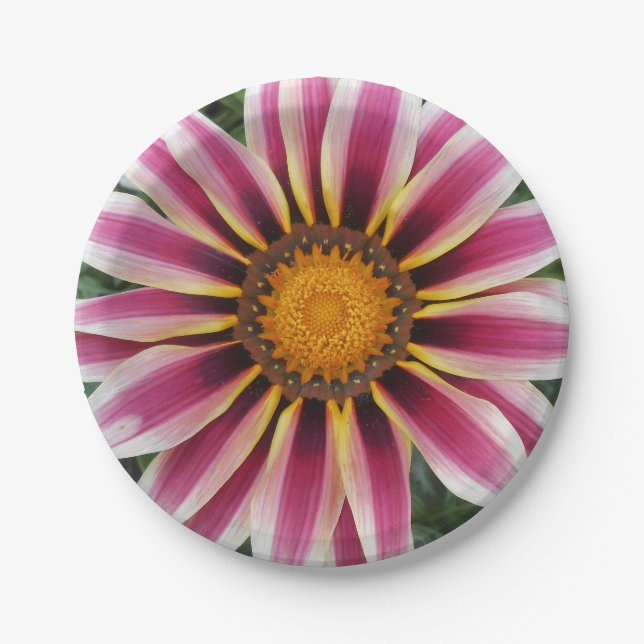 Hereford Paper Plate (Front)