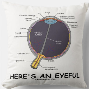Here's An Eyeful (Eye Anatomy Humour) Cushion