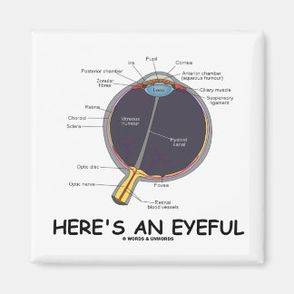 Here's An Eyeful (Eye Anatomy Humour) Magnet