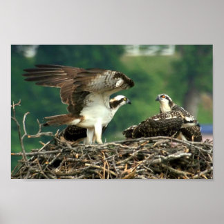 Here's How These Things Work Poster