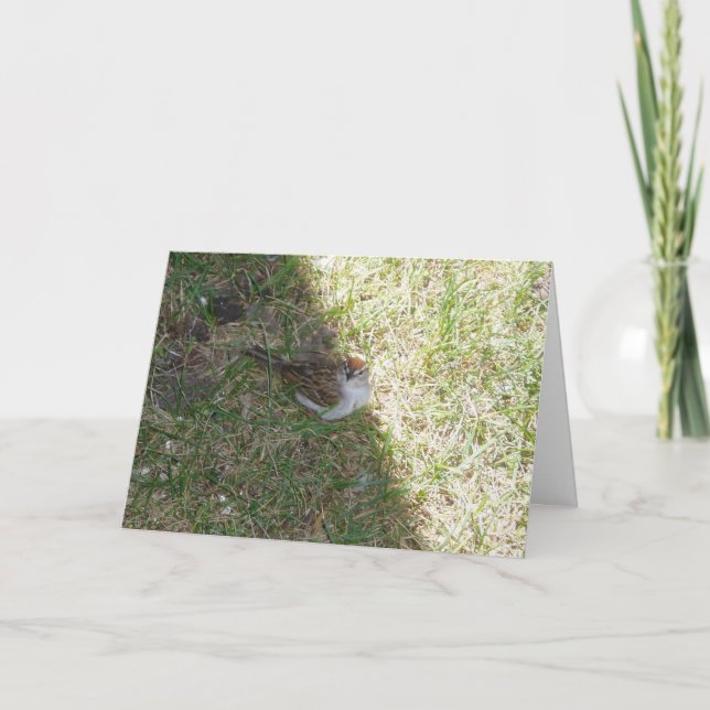 "Here's Lookin' At You!" Easter Card (Front)